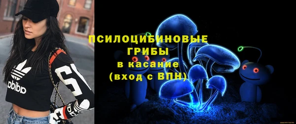 меф Гусь-Хрустальный