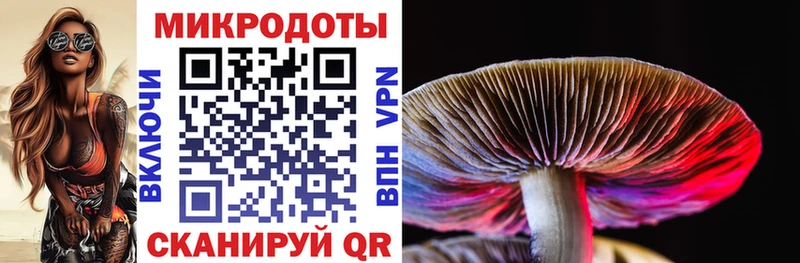 Псилоцибиновые грибы ЛСД  blacksprut ONION  Подольск 